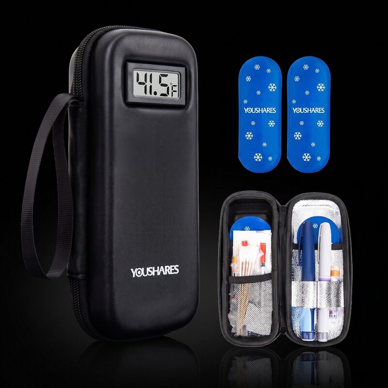 Insulated travel case with ice packs