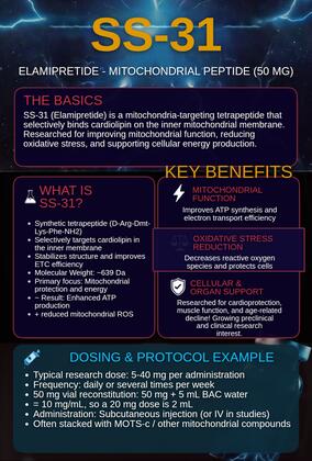 SS-31 infographic